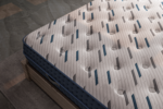 ⁦مرتبة سينس ايس⁩ - الصورة ⁦2⁩